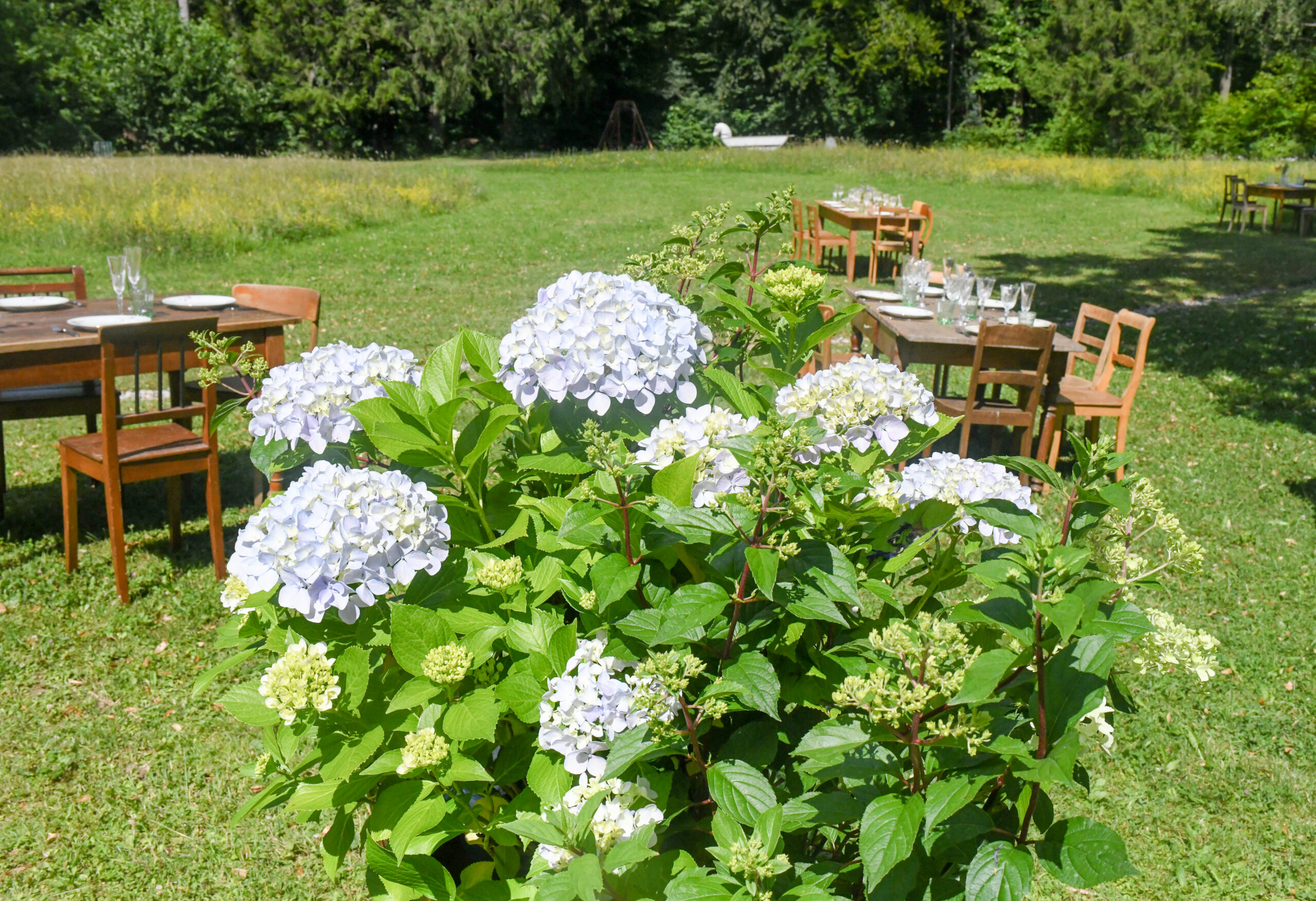 Garten Restaurant Berg 8044 Keiner Verlasst Den Berg Hungrig